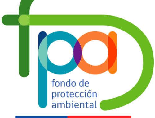 Fondo de Protección Ambiental 2025 – Proyecto Mejillones